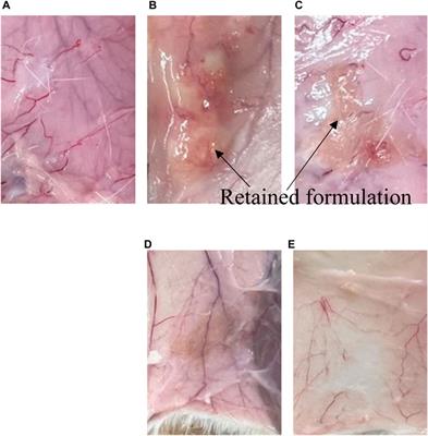 Development of a depot formulation with an in situ non-lamellar liquid crystal-forming system with phospholipids
